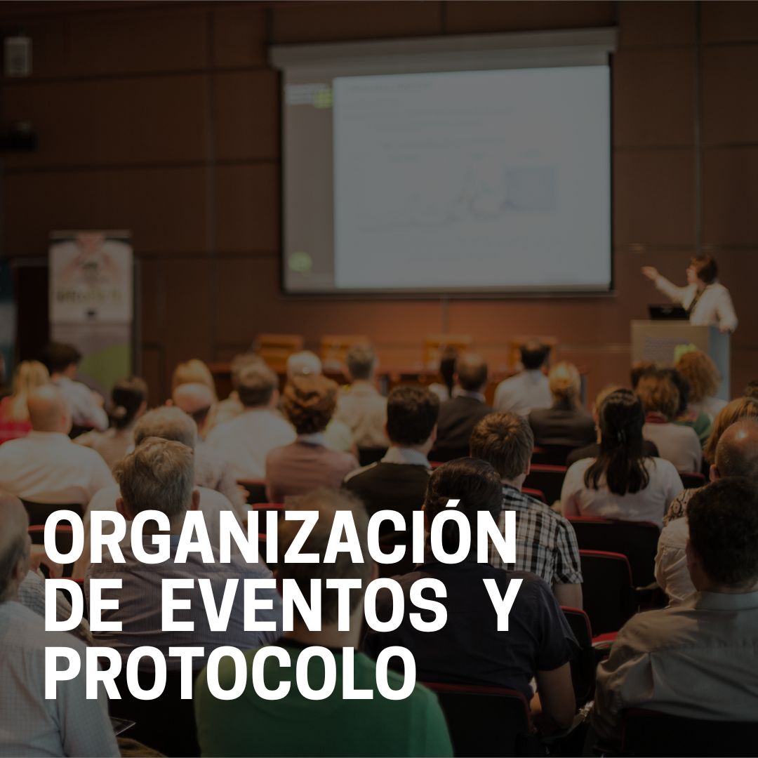 WhatsApp Image 2025-10-15 at 1.42.02 PM